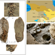 Illustration for article titled 5,500-year-old leather shoe is oldest ever discovered